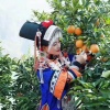 果多多瓜果柑橘总代办的一亩田店铺