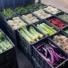祥友蔬菜批发的一亩田店铺