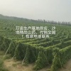 友农夫山药供应商的一亩田店铺
