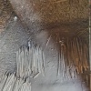 保定宋灿麻山药商行的一亩田店铺