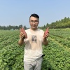 济宁袁蒙农产品有限公司的一亩田店铺