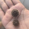 张玉新的一亩田店铺