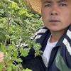 岷县商道酬信中药材经营部的一亩田店铺