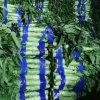 阿磊精品蔬菜代收的一亩田店铺