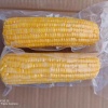 隆化县嘉田甜玉米种植基地的一亩田店铺