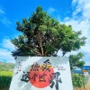 戢光登的一亩田店铺
