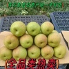 新疆疆果丰香梨专业合作社的一亩田店铺