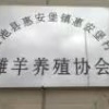 宁夏启贤盐池滩羊销售的一亩田店铺