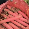王冰果蔬的一亩田店铺