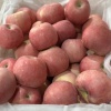 华创速达供应链的一亩田店铺