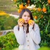 果儿美蔬果店的一亩田店铺