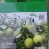 崔书莲的一亩田店铺