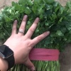 新悦保鲜有限公司的一亩田店铺
