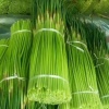 韩寺蔬菜有限公司的一亩田店铺