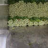 周口李宽诚信蔬菜代办的一亩田店铺