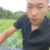 萧萧蔬菜的一亩田店铺