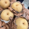 胡森杰的一亩田店铺