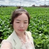 云南小田蔬菜代办的一亩田店铺