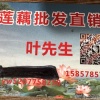 叶伟的一亩田店铺