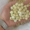 东莞婧鑫食品有限公司的一亩田店铺