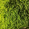 李俊丽的一亩田店铺