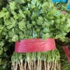 毛发胜精品蔬菜专业代办的一亩田店铺