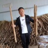 莘县小帅山药蔬菜诚信供应链的一亩田店铺