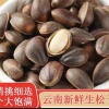 云南欣怡种苗的一亩田店铺
