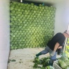 邯郸润森有限公司的一亩田店铺