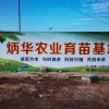 炳华农业育苗基地的一亩田店铺