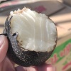 麦田供应链的一亩田店铺