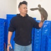 鼎圣冻品甲鱼的一亩田店铺