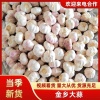 发金农副产品购销的一亩田店铺