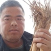 小吕中药材购销的一亩田店铺