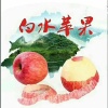 李博涛的一亩田店铺