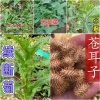 河北顺海药材批发的一亩田店铺