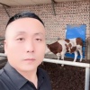 辉煌牧业的一亩田店铺