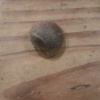 饶玉海的一亩田店铺