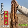 秀梅温县垆土铁棍山药合作社的一亩田店铺