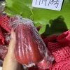 广西恒丰昌盛商贸有限公司的一亩田店铺