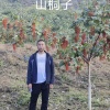 宁强万林源农业发展公司的一亩田店铺