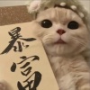 克吉木乃的一亩田店铺