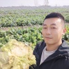 诸城市奇香食品加工厂的一亩田店铺
