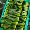 渝鑫精品蔬菜的一亩田店铺