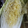 吉胜果业有限公司的一亩田店铺