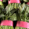 聊城多多蔬菜代办的一亩田店铺