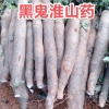 宇超黑鬼淮山药批发的一亩田店铺