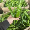 德润农产品有限公司的一亩田店铺