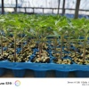 寿光泽丰农业的一亩田店铺