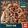 甘肃陇西东阳药材商行的一亩田店铺